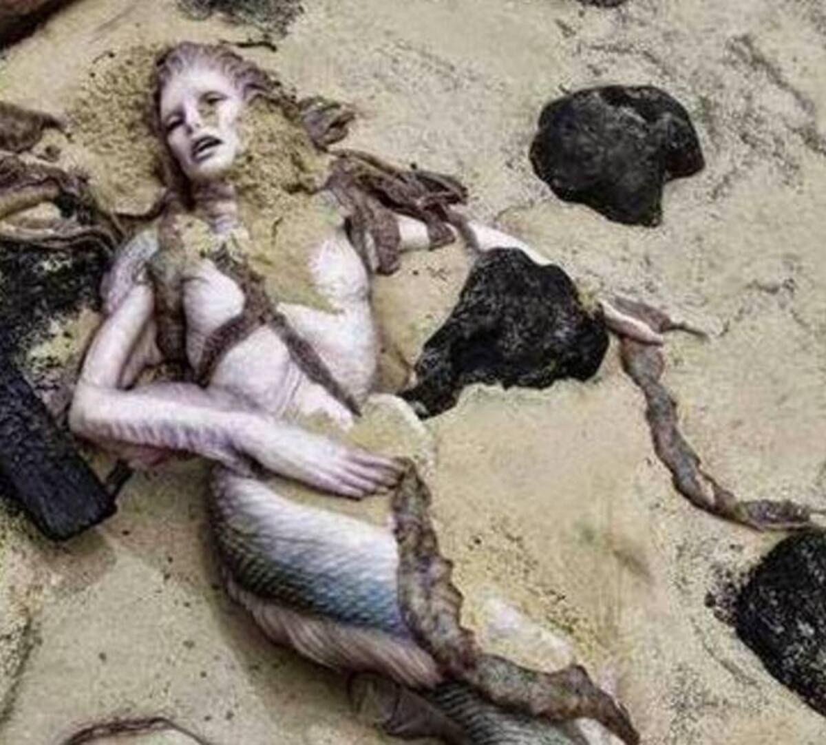 Sirena