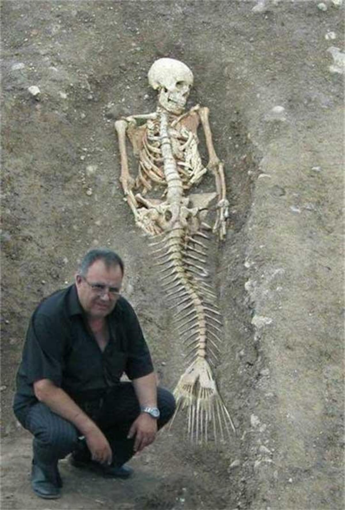 Sirena