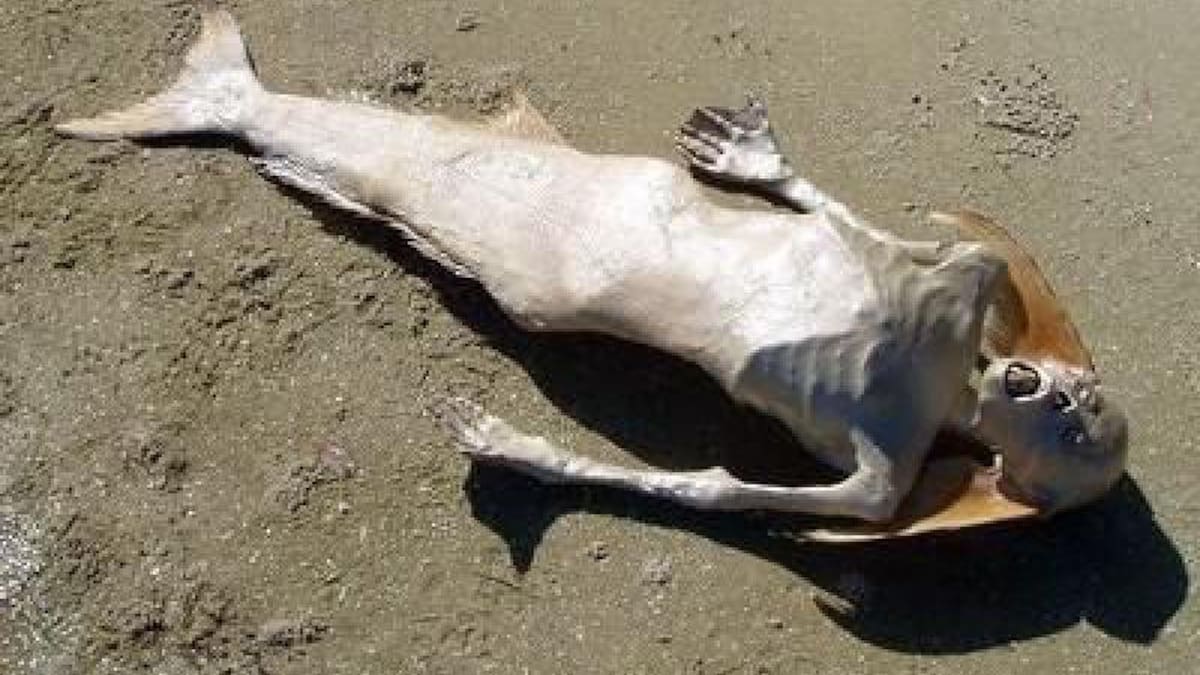 Sirena de la playa de Caranza
