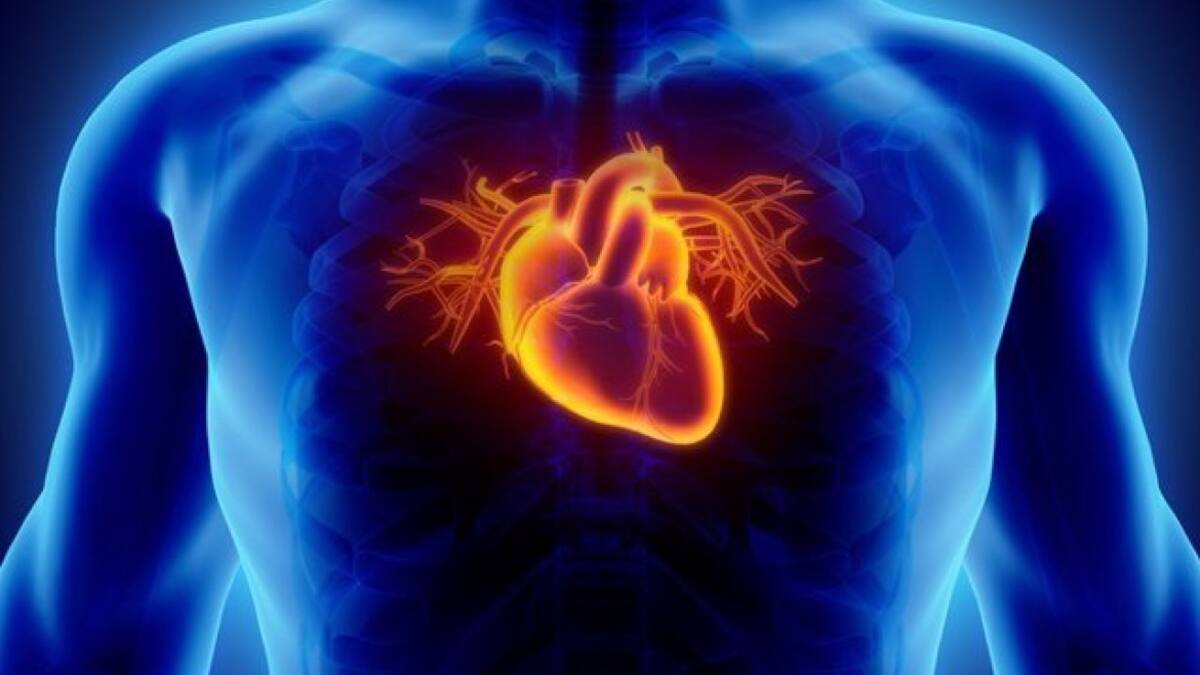 Quienes padecen de coronavirus corren el riesgo de sufrir inflamaciones del corazón. Foto: InfoSalud.