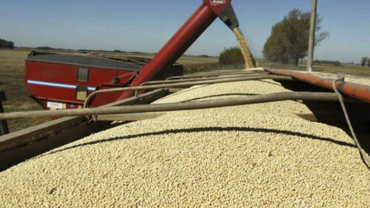 Soja, cosecha, economía argentina, foto NA