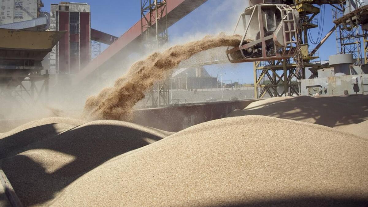 Soja, cosecha, economía argentina, foto NA