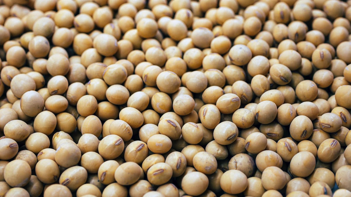El alimento japonés que previene infartos. Foto Unsplash.