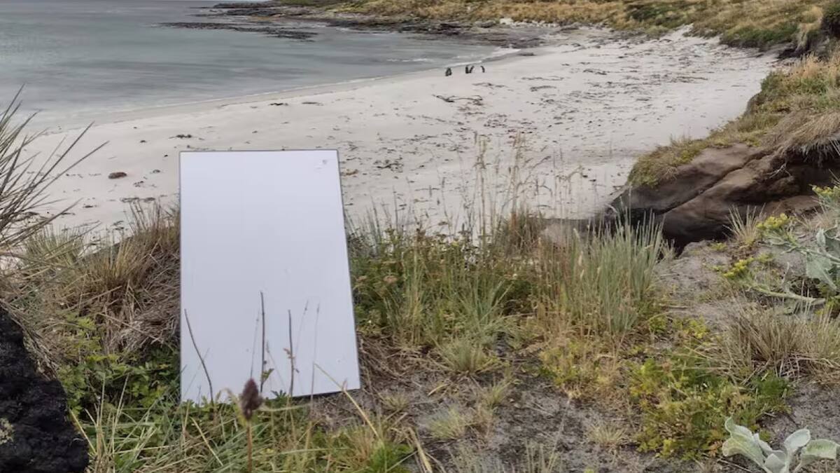 Starlink en las Islas Malvinas.