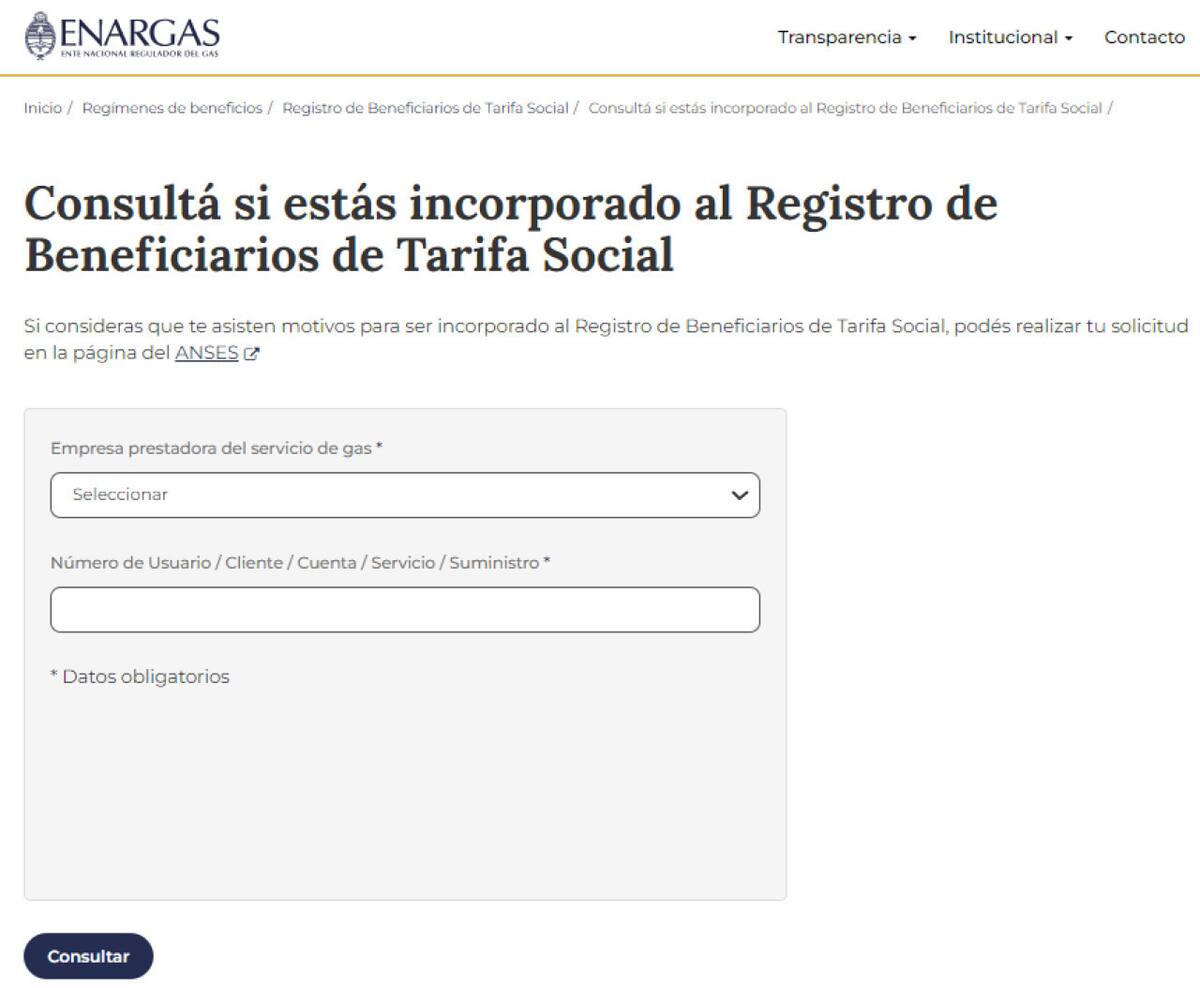 Subsidio de luz y gas. Foto: captura