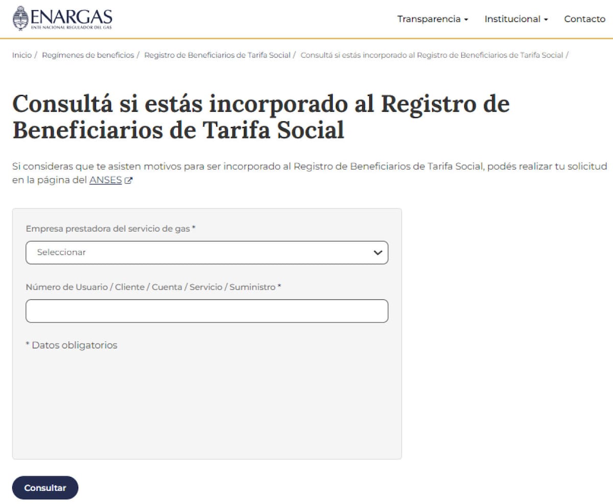 Subsidio de luz y gas. Foto: captura