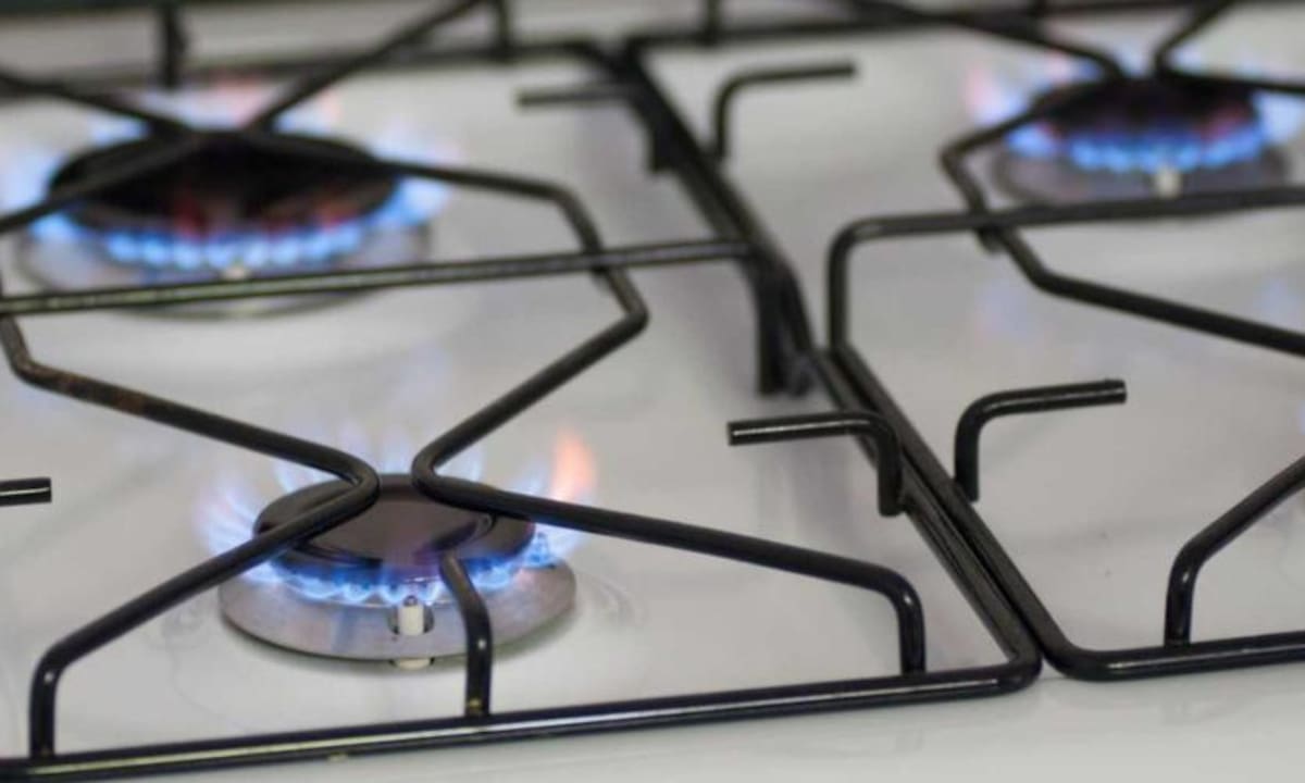 Prorrogan el plazo para pedir que se mantengan los subsidios de electricidad y gas. Foto: NA.