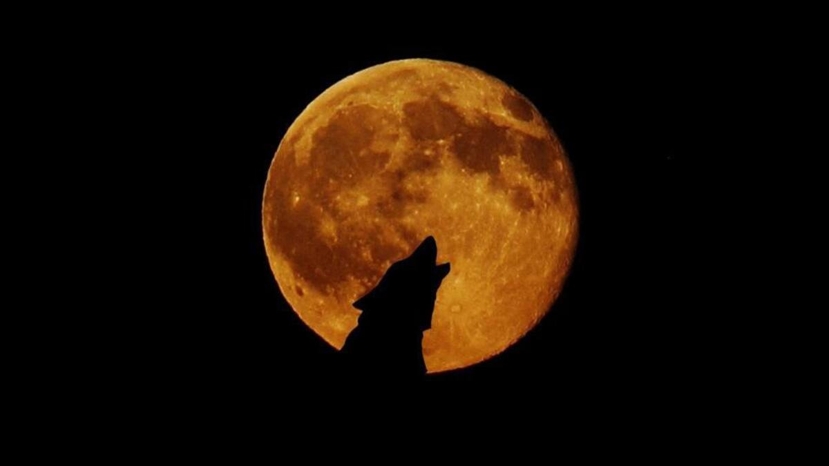 Superluna de Sangre de Lobo