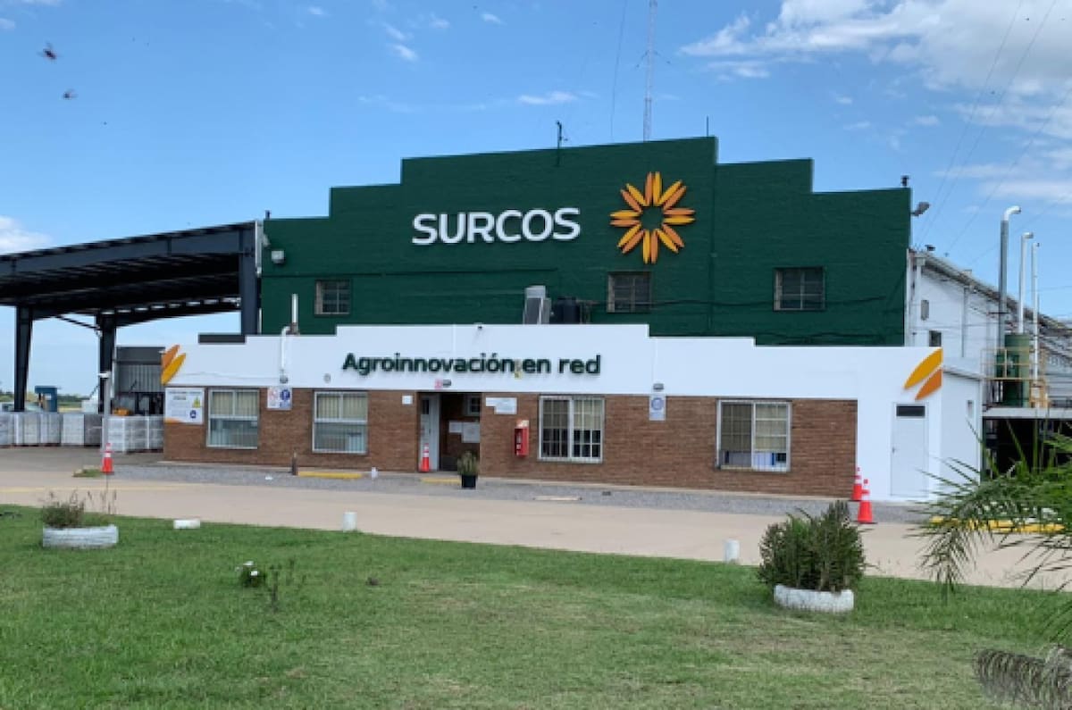 Surcos S.A. investigada por posible estafa. Foto: Prensa