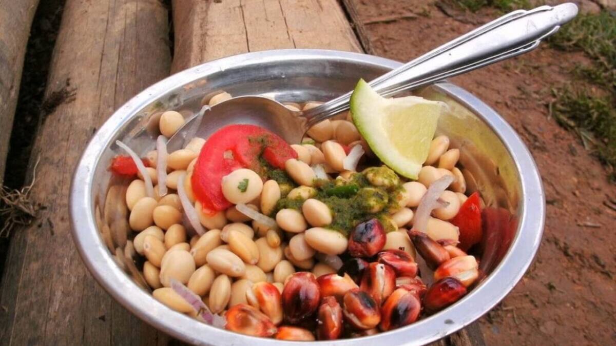 Tarwi; superalimento. Foto: Gentileza Andina.