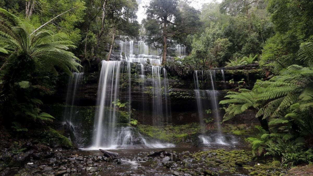 Tasmania. Foto: EFE