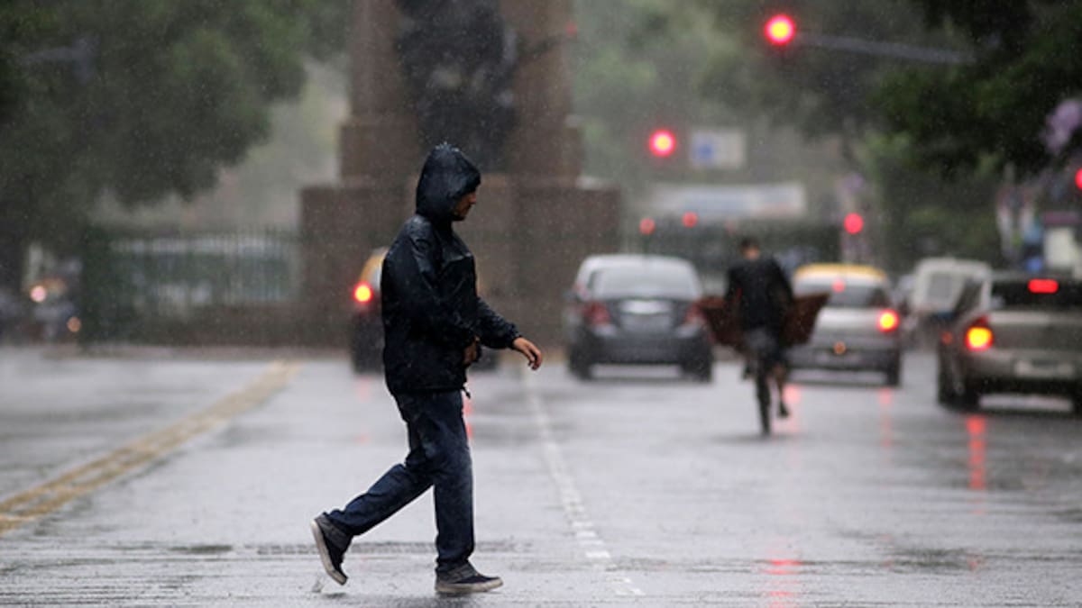 Calles inundadas, árboles caídos y cortes de luz: los videos del feroz temporal en Buenos Aires en medio del alerta naranja por tormentas