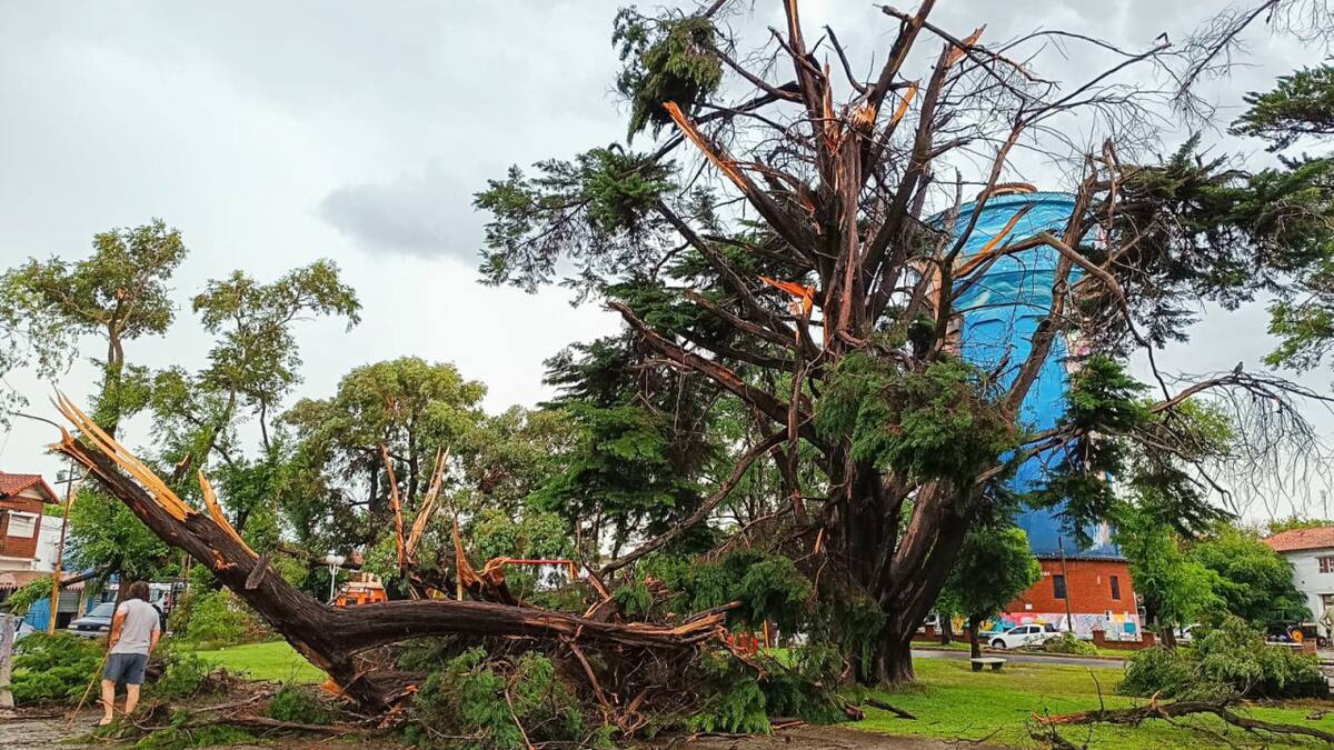 Temporal de viento y granizo en Miramar. Foto: NA.