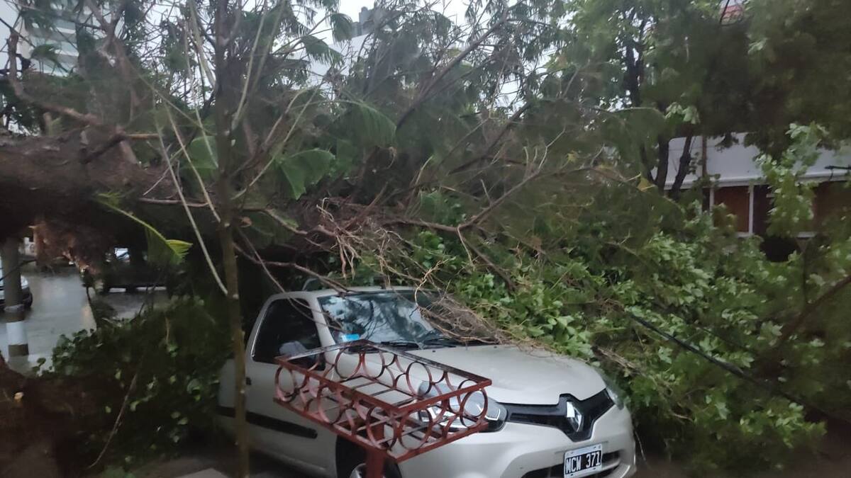 Temporal en Bahía Blanca. Foto: X