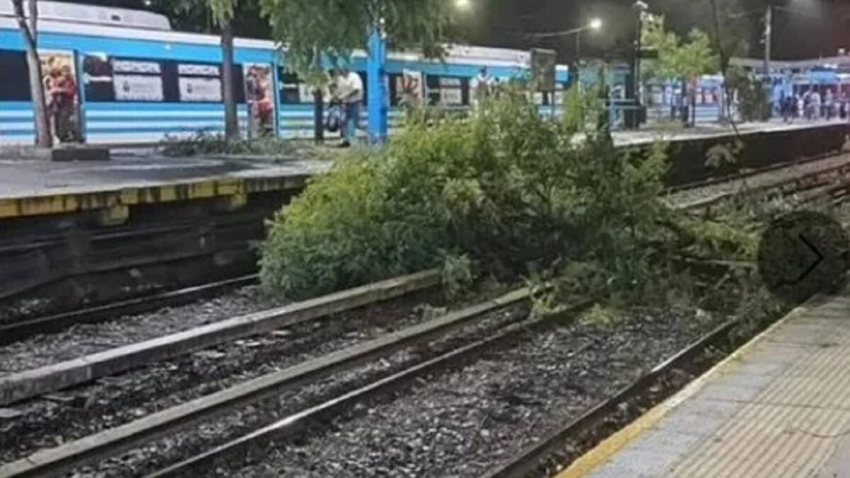 Temporal en el AMBA. Foto: NA.