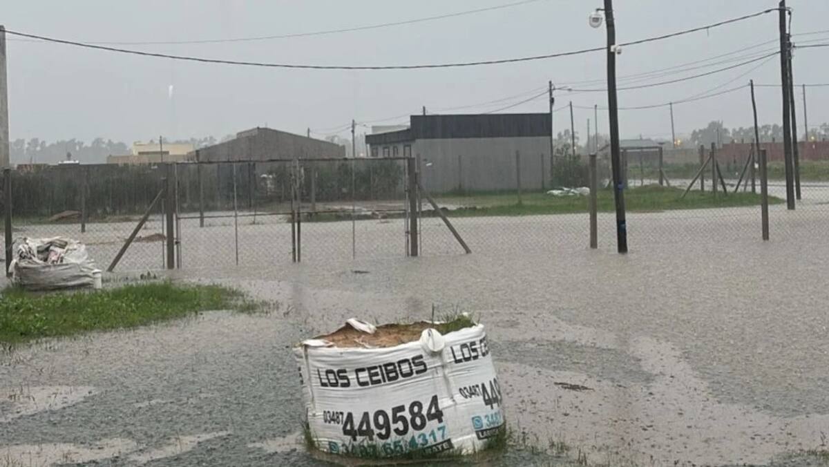 Temporal en la provincia de Buenos Aires. Foto: NA.