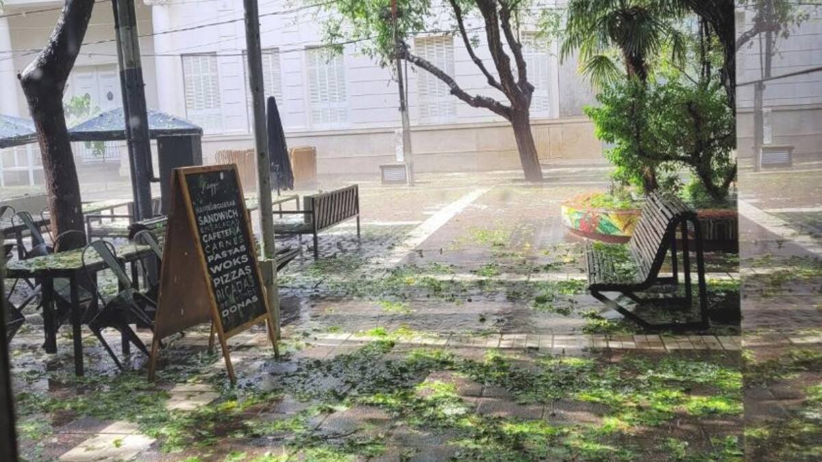 Temporal en Mendoza