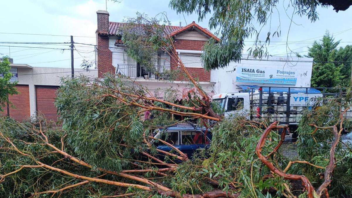 Temporal en Miramar. Foto: NA.