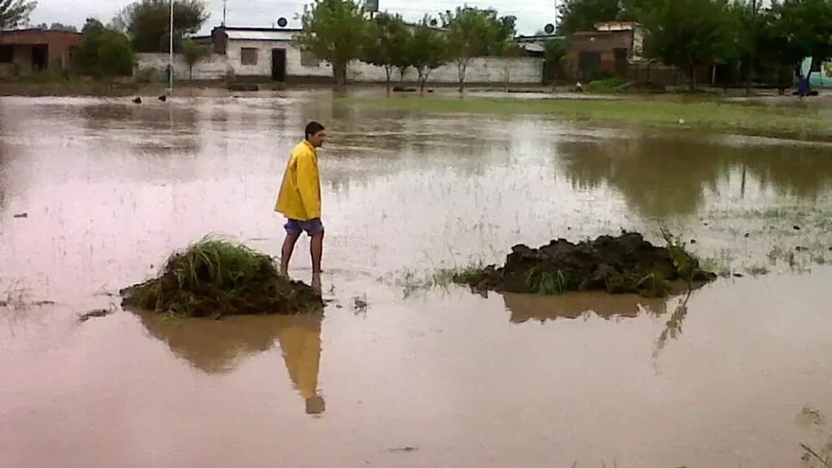 Alerta por el Súper El Niño: qué provincias se verán afectadas y cómo es el operativo que busca anticipar inundaciones