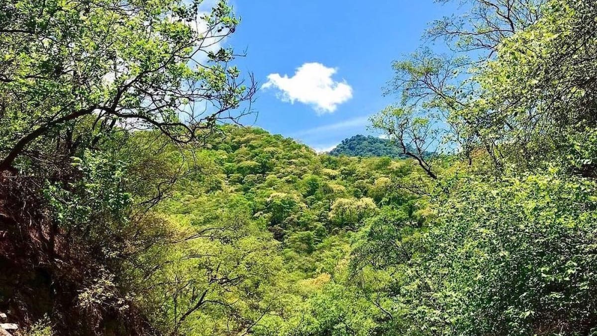 Las termas más bellas de Argentina se encuentran en el lugar menos pensado. Foto Instagram @viajestip