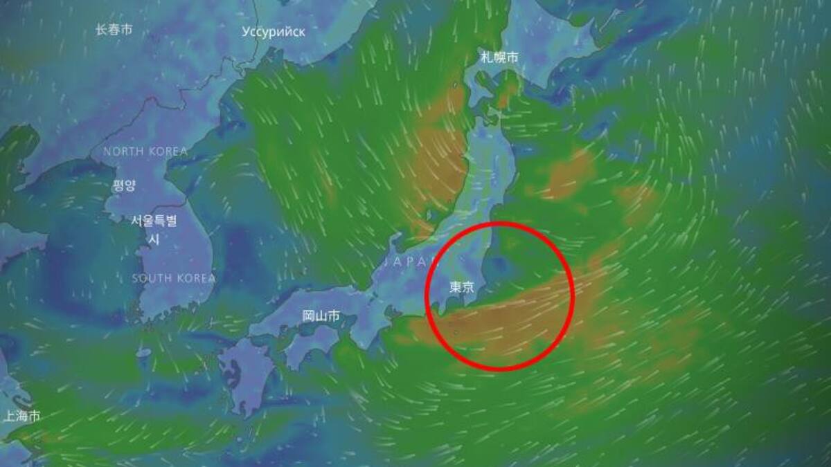 Terremoto en Japón