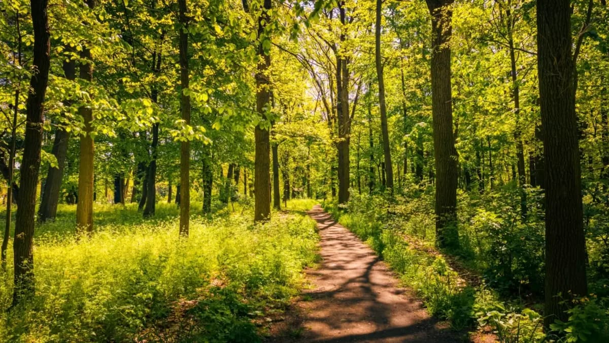 Tiene más de 10 mil hectáreas, un bosque increíble y un castillo: el lugar perfecto para pasar el día al aire libre, a pocos minutos de CABA