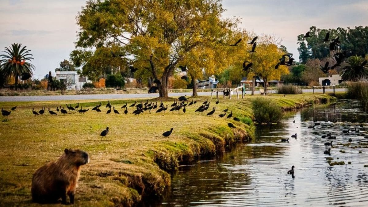 Tiene una laguna, una reserva natural llena de fauna y casonas antiguas: el pueblo perfecto para desconectar de la ciudad