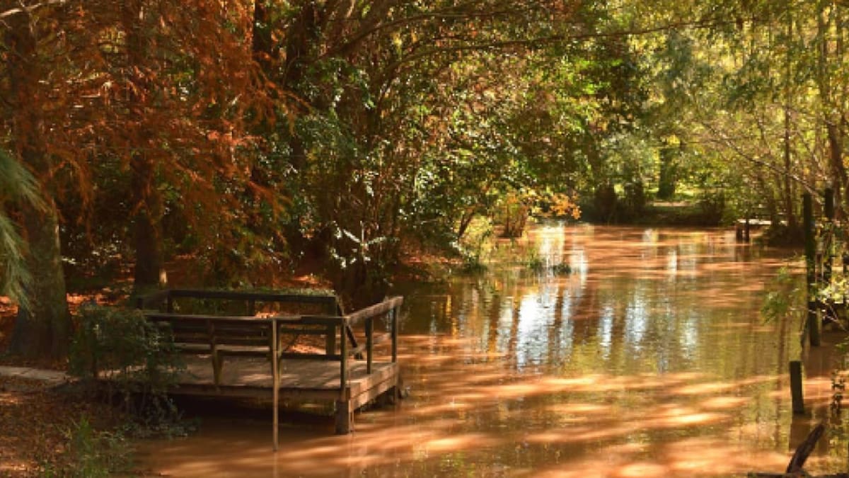 Tigre. Foto: @turismotigre