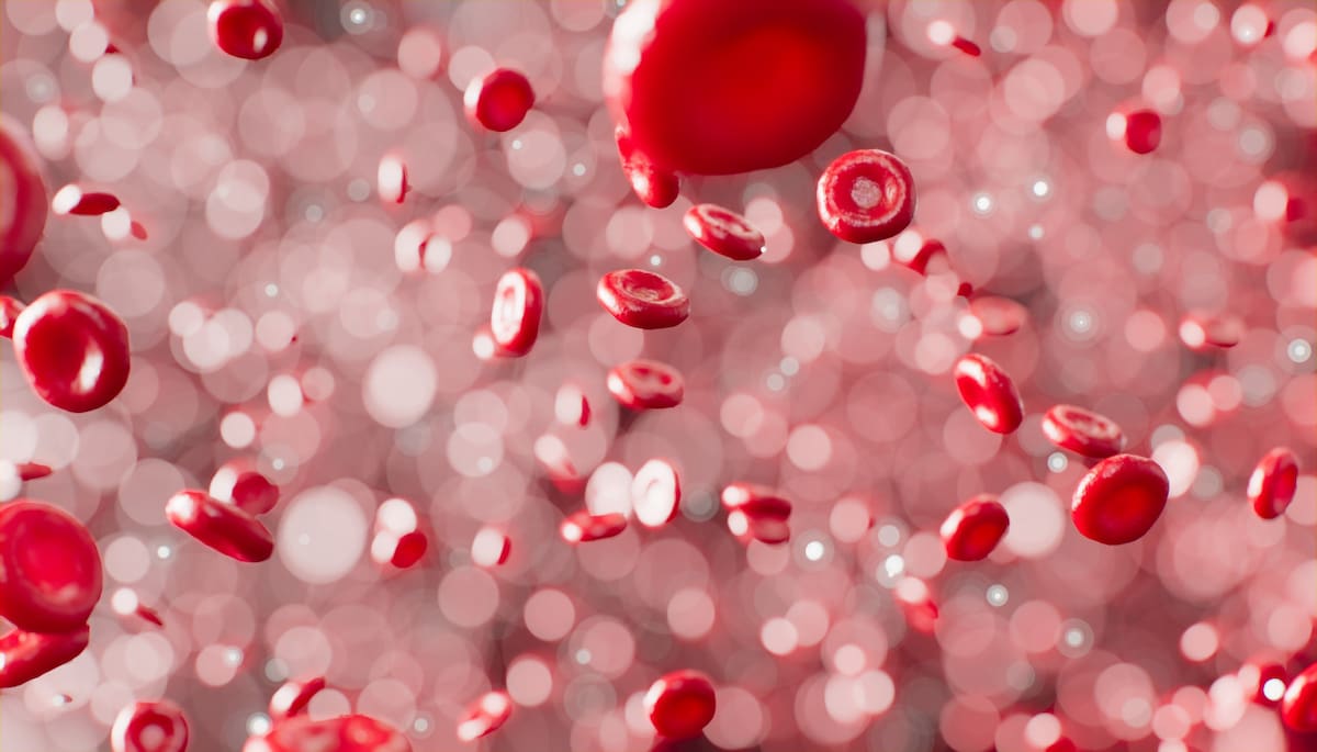Tipos de sangre. Foto: Unsplash