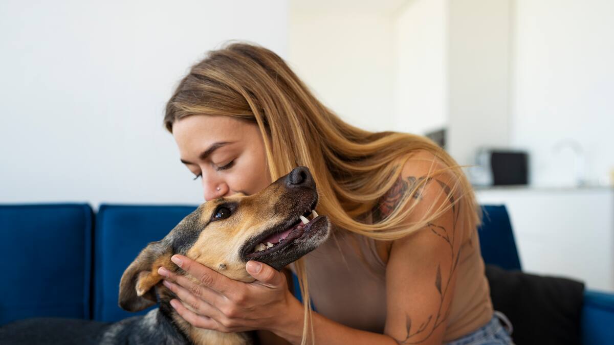 Tips para acariciar a un perro de la mejor manera.