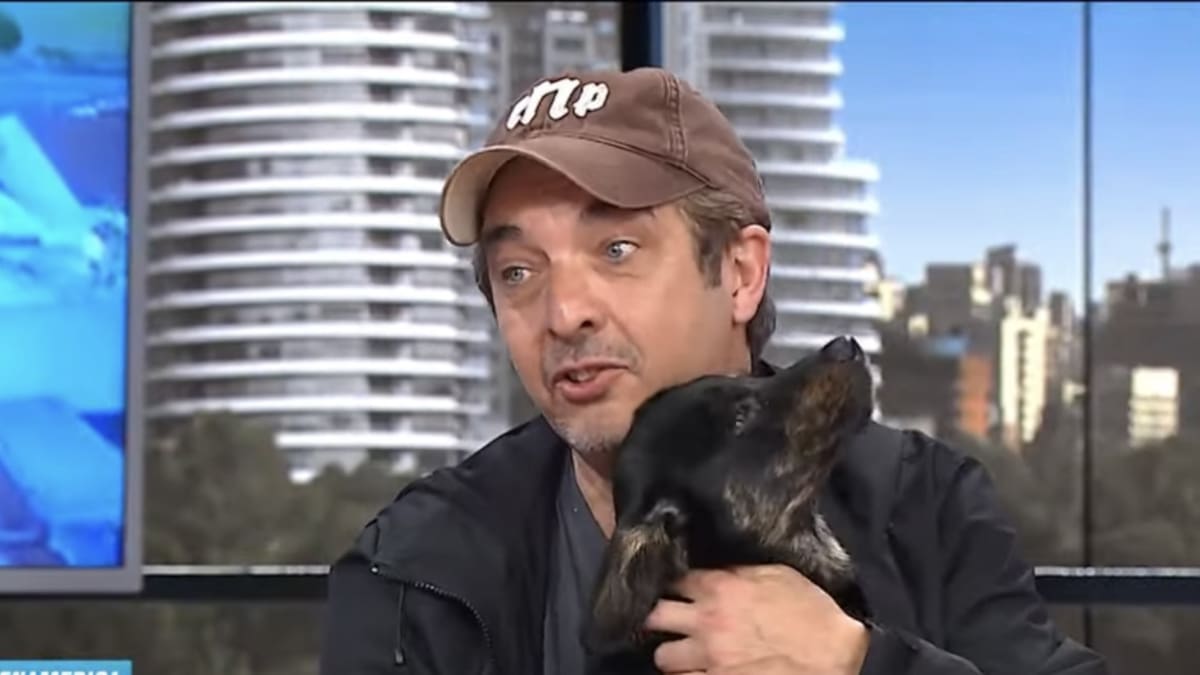 Tito, el perro rescatado por Ricardo Darín. Video América