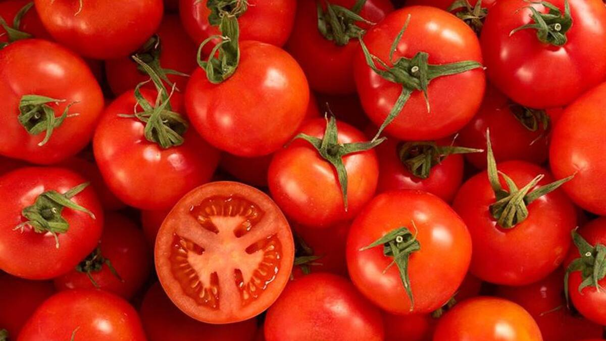 Tomates