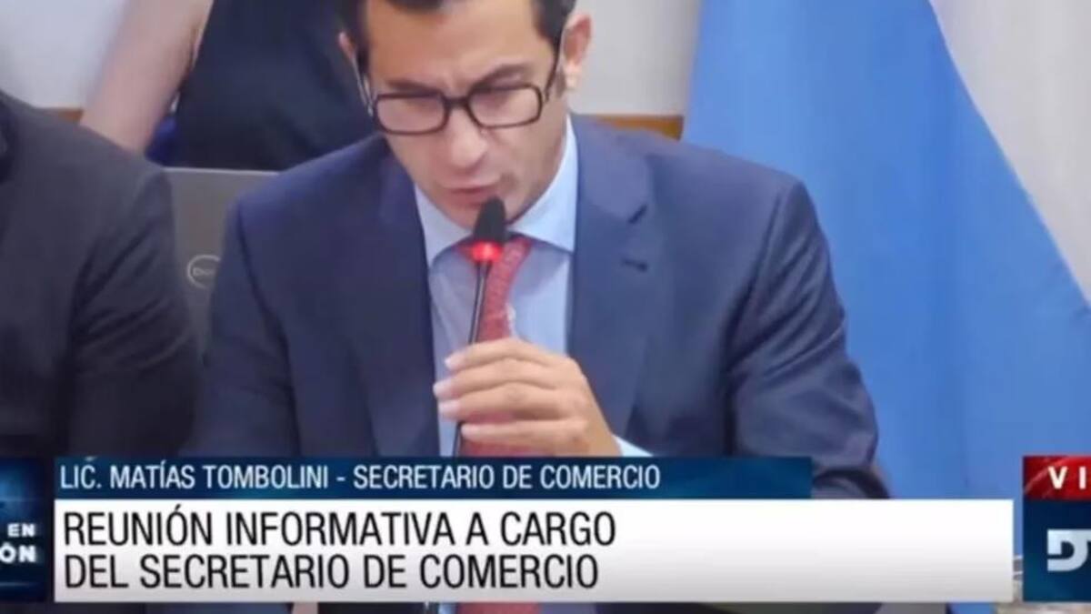 El secretario de Comercio, Matías Tombolini, expuso en Diputados