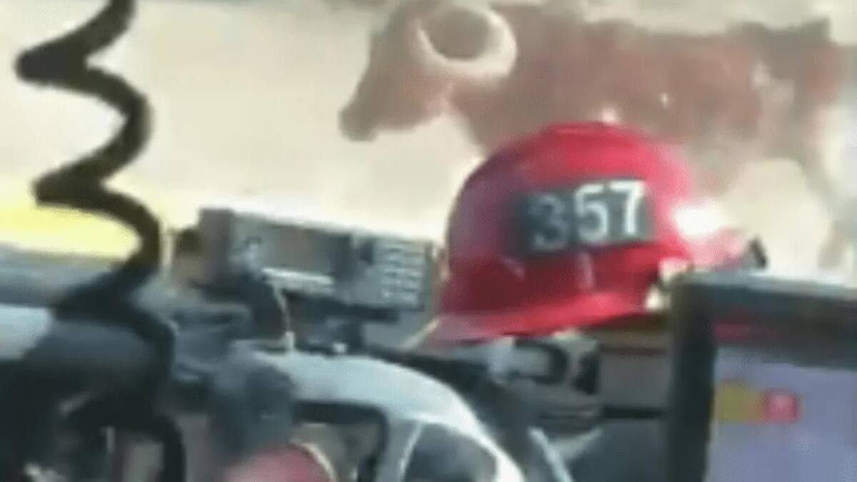 Toro enojado en incendios de California