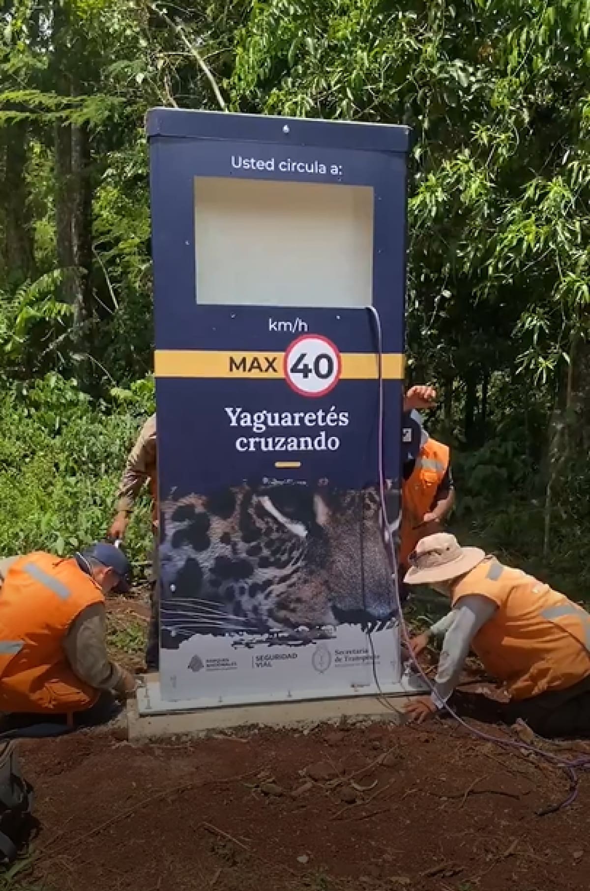 Tótems de seguridad de las rutas del Parque Nacional Iguazú. Foto: Captura de video.
