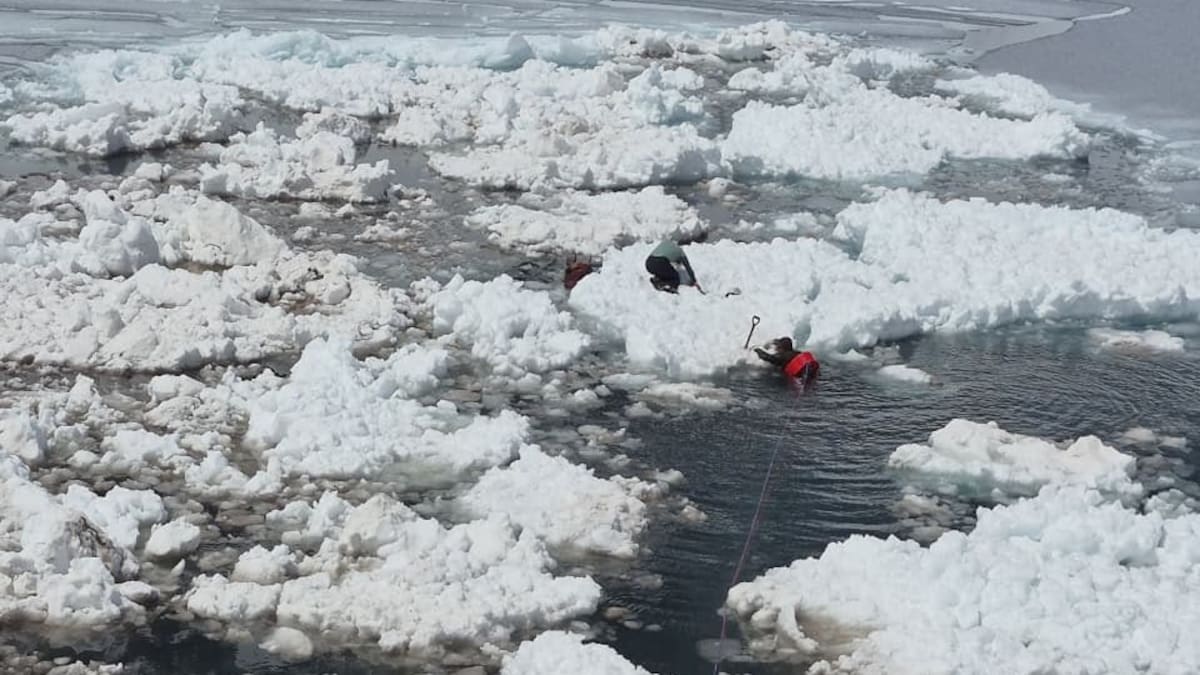 Tragedia en Chile: cuatro muertos y cuatro heridos por una avalancha