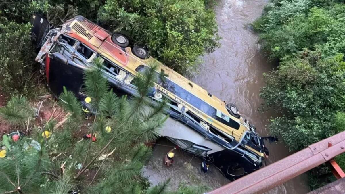 Tragedia en Misiones: así quedó el micro que cayó en un arroyo.