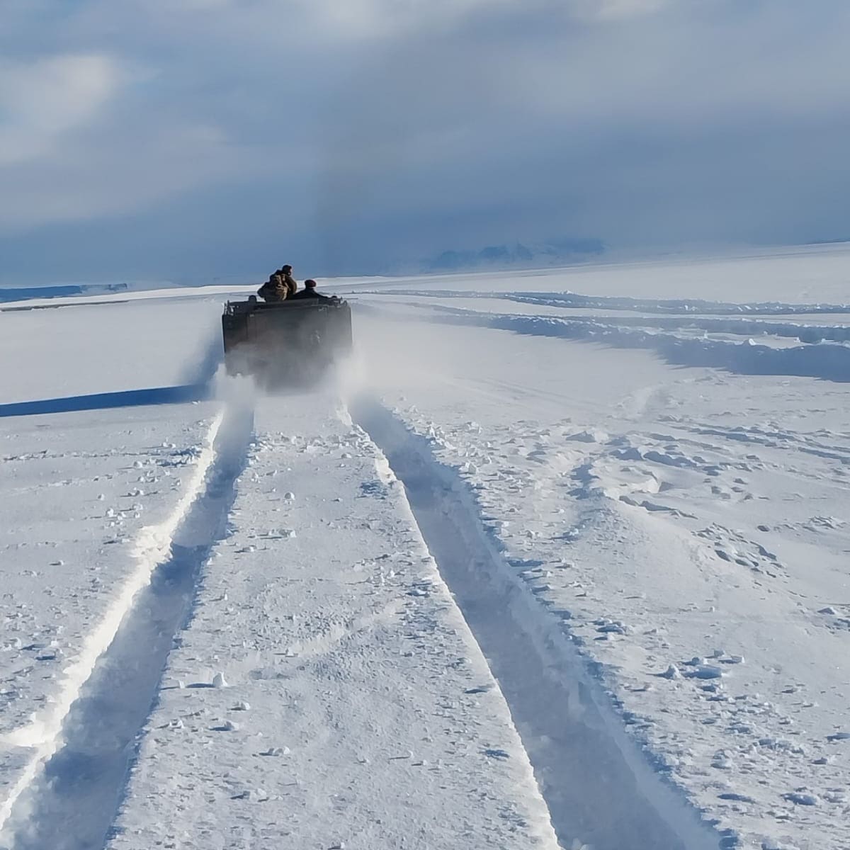 Tras la llegada del deshielo, quedaron al descubierto las terribles consecuencias, con miles de animales muertos. Foto: Federación de Instituciones Agropecuarias de Santa Cruz.