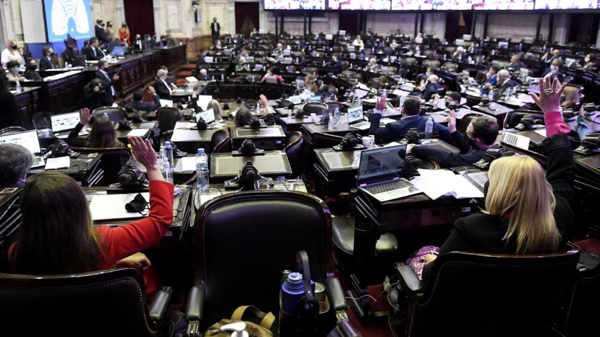 Tras un maratónico debate, Diputados aprueba el Presupuesto 2021