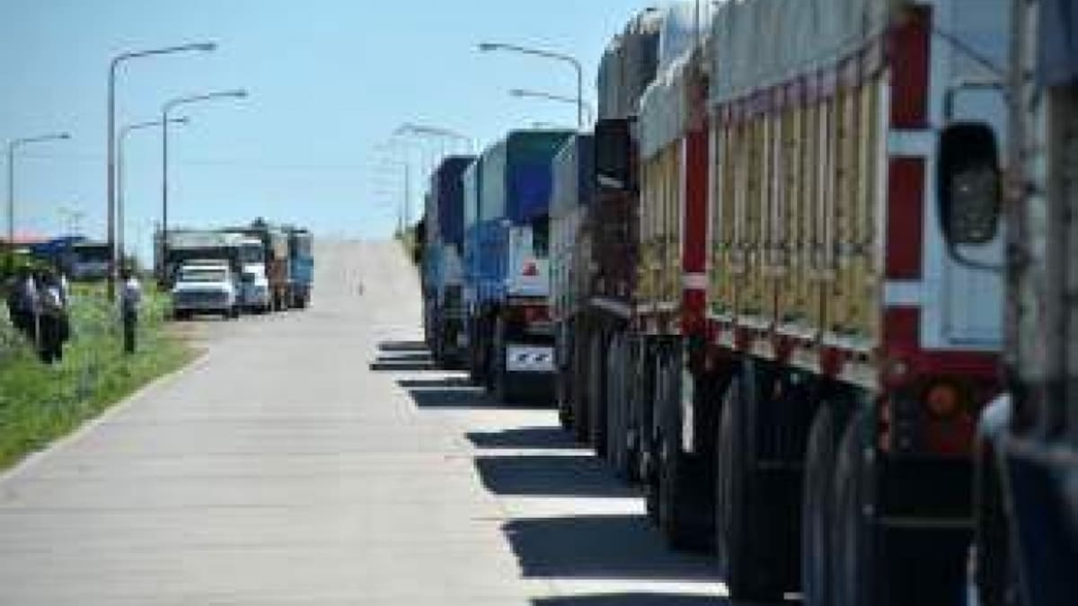 El Gobierno simplificó el trámite con un control unificado en el SISA.