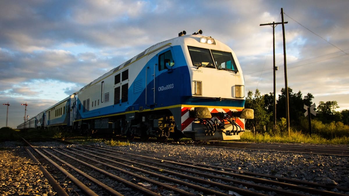 Tren a Mar del Plata. Foto: NA (Martín Marinucci)