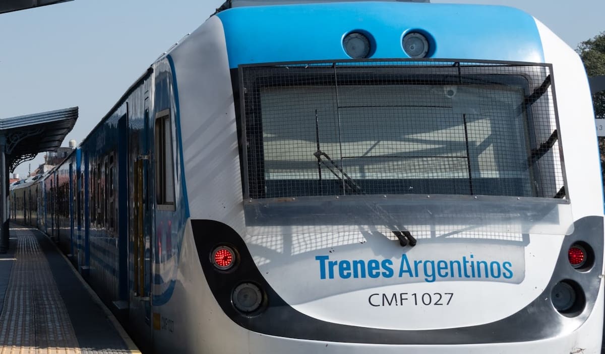 Tren Belgrano Sur.