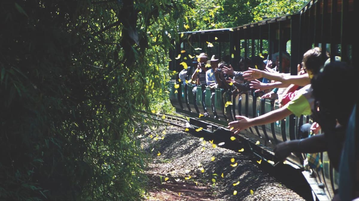 El sorprendente tren eléctrico escondido en la selva argentina: dónde queda y cuál es su recorrido