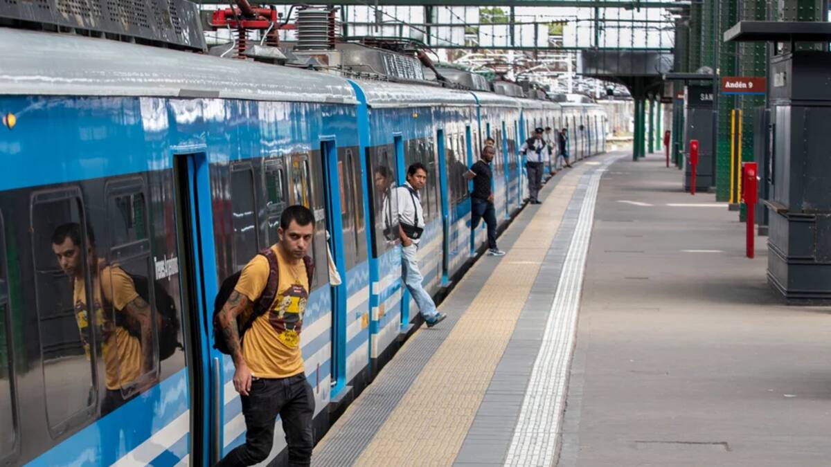 Tren Roca, trenes.