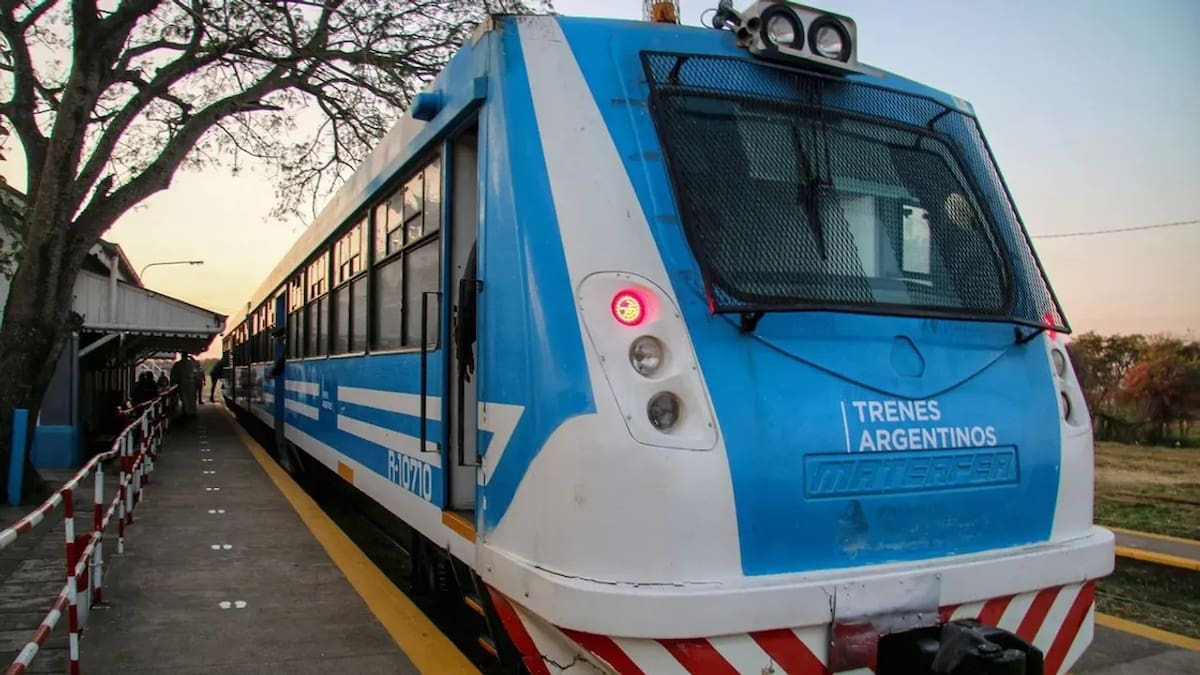 Tren, transporte público. Foto: NA