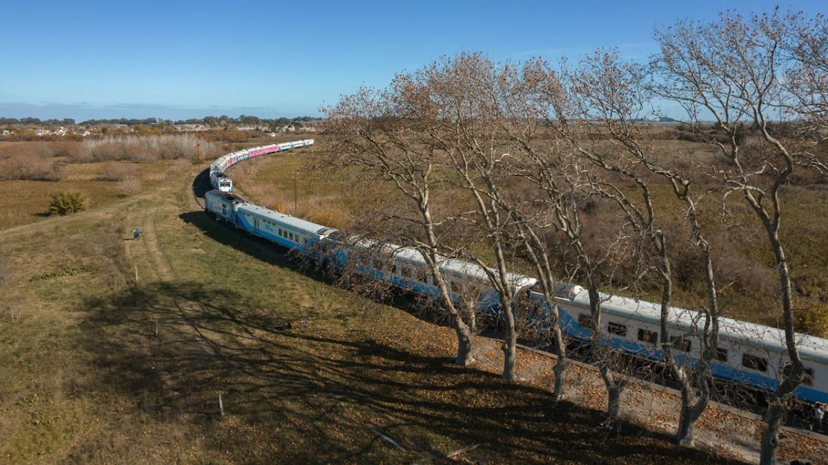 Trenes de larga distancia. Foto: X @TrenesArg.
