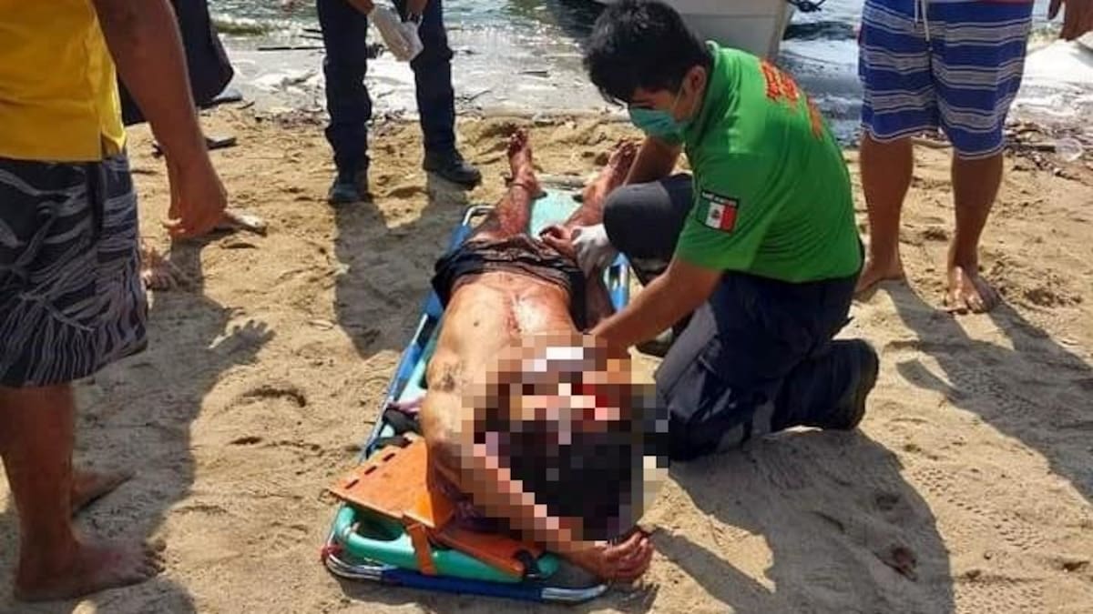 Tres argentinos fueron brutalmente atacados en México. Foto: Twitter: @azucenau.