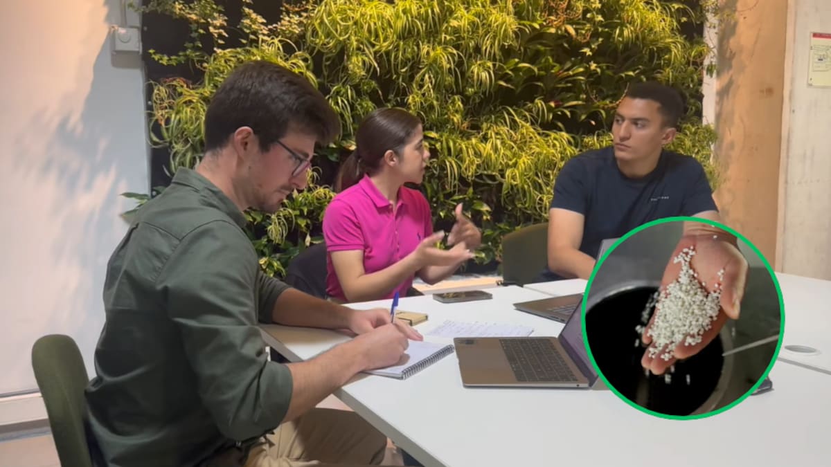 Tres jóvenes de Cartagena desarrollaron Fun-ghi, un biomaterial elaborado con setas, residuos textiles y restos de cerveza.