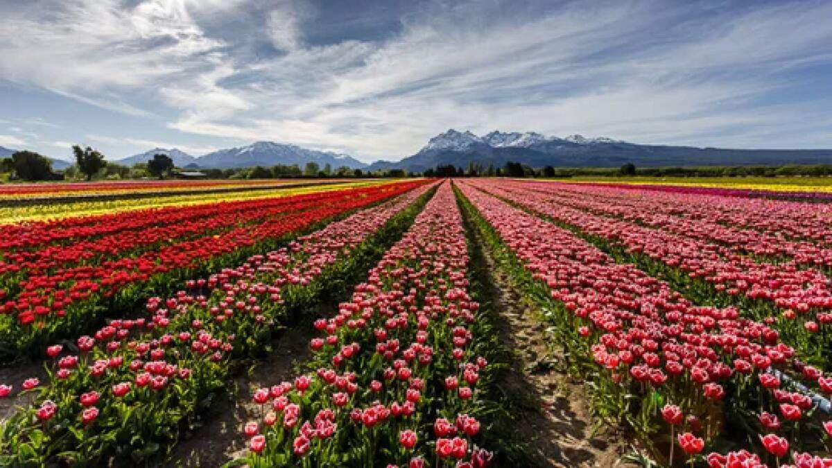 Cuáles son los mejores pueblitos de Buenos Aires. Foto NA.