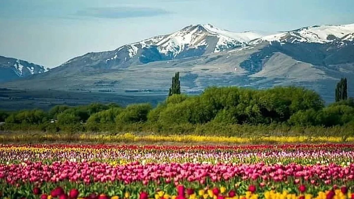 Trevelin es un pueblito ubicado en Chubut. Foto: NA